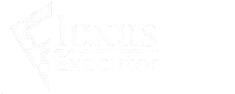 Fluxus-executor